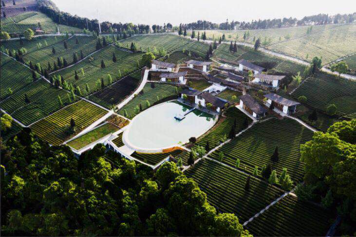 亲近自然听风听雨,亲近大自然聆听虫鸣鸟叫