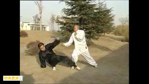 汤瓶七式拳视频全集,汤瓶七势拳多少年历史