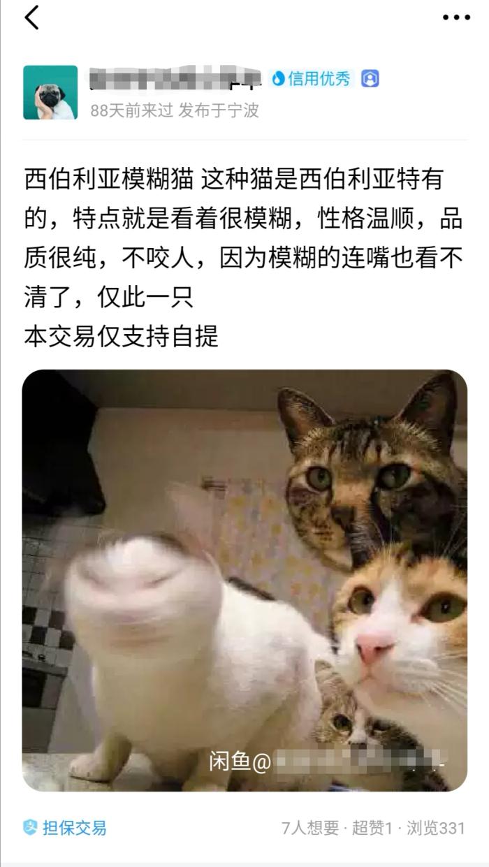 盘点闲鱼的奇葩骗子,闲鱼十大奇葩卖家