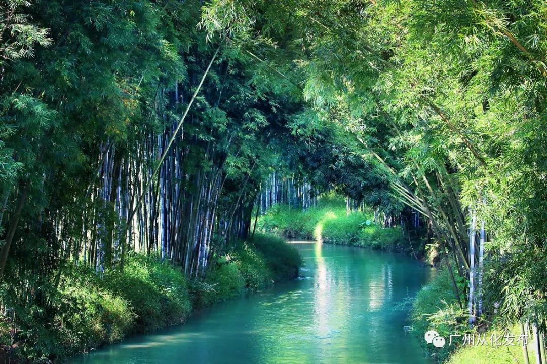 从化吕田美食攻略,从化吕田特色美食有哪些