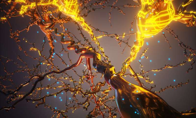 细胞变身,细胞变身治愈糖尿病