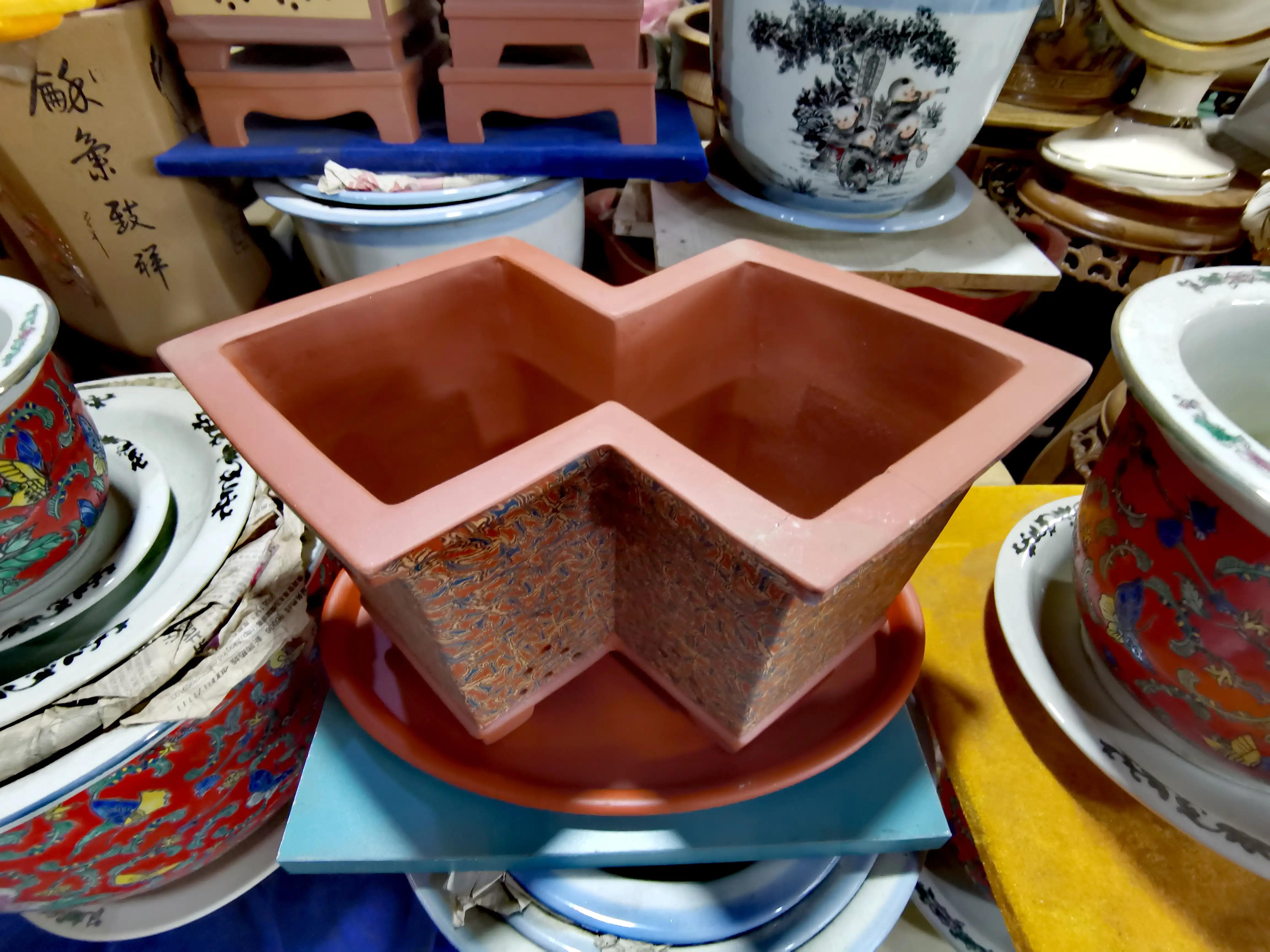 沈阳花卉市场搬哪去了,沈阳花卉市场批发各种绿植