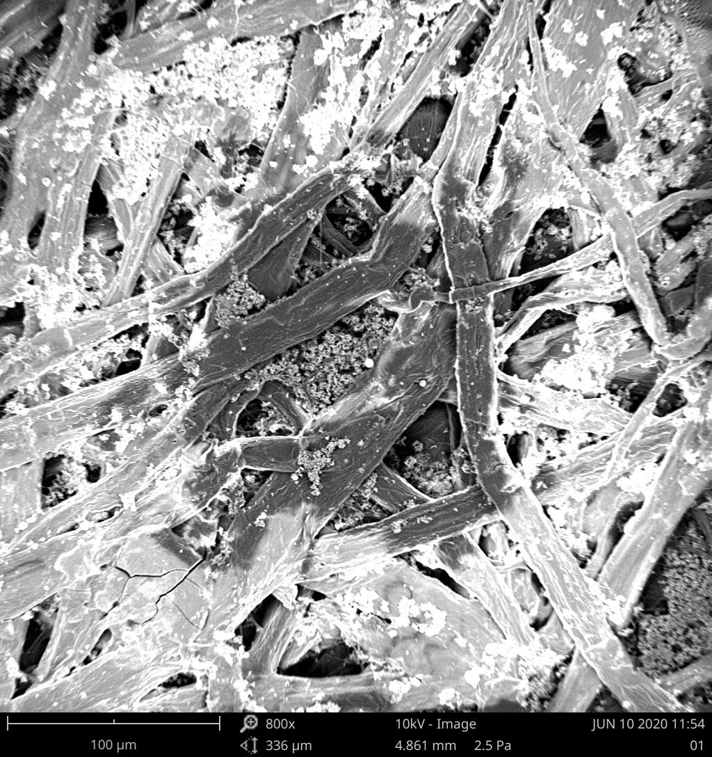 扫描电镜不导电样品需要怎么处理,扫描电镜不导电的样品拍出来模糊