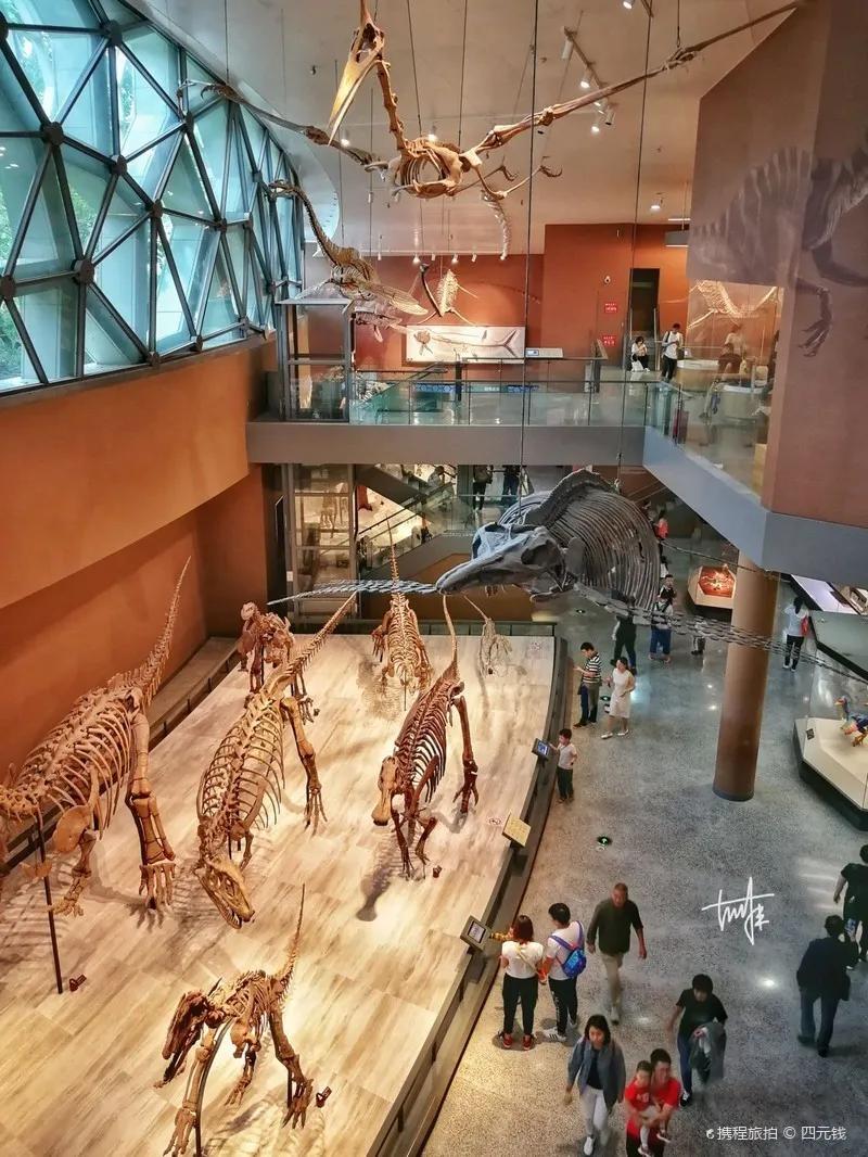 戏精博物馆文物,博物馆戏精文物