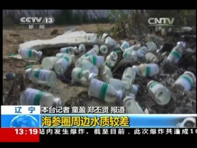 不加敌敌畏的海参，也不值得吃｜大象公会