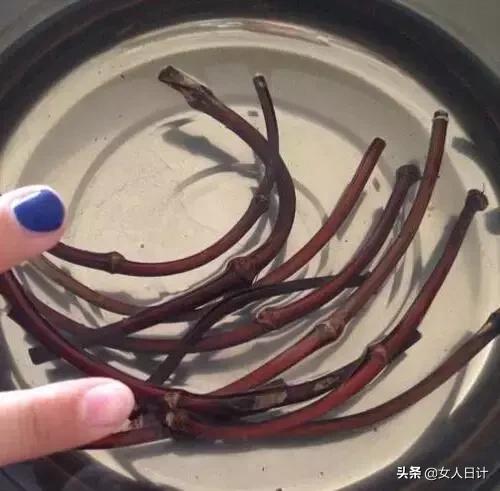 山上随便砍的藤条,竟然比金刚还牛逼!(附带制做方法)