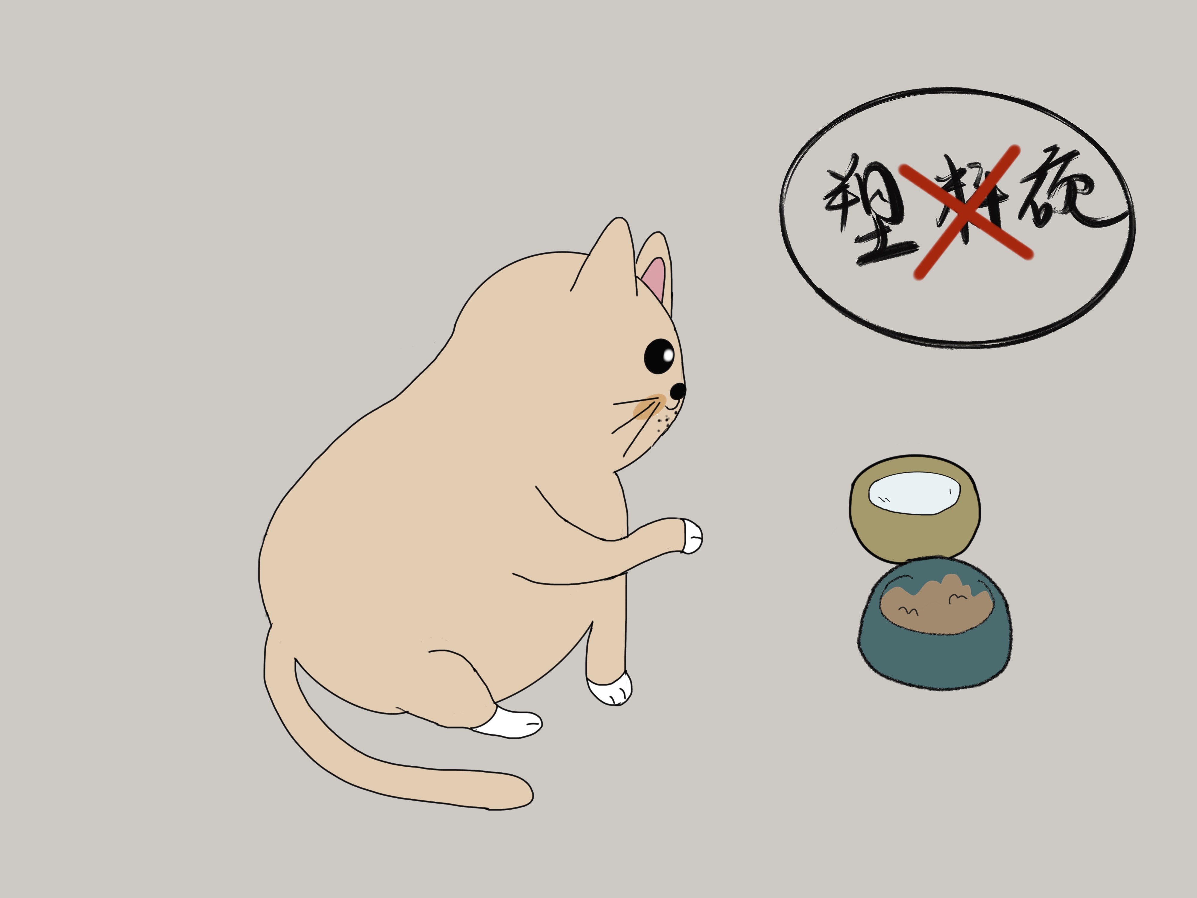 猫也会长白粉刺吗,猫粉刺图片大全