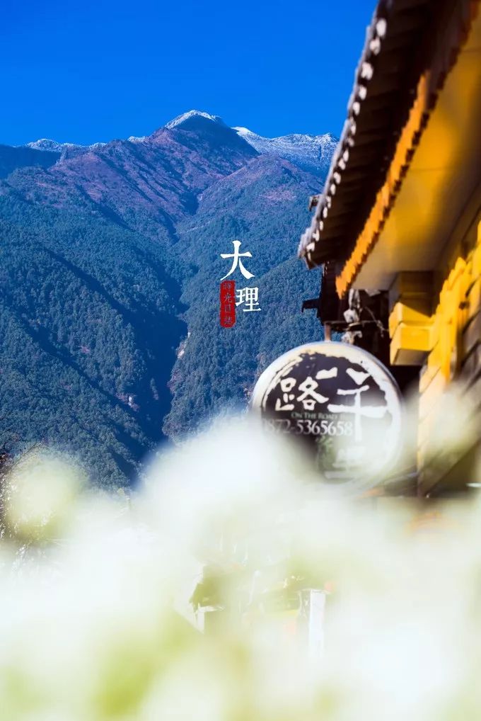 等一个人陪我去大理旅行,如果生活不如意不如一起去大理