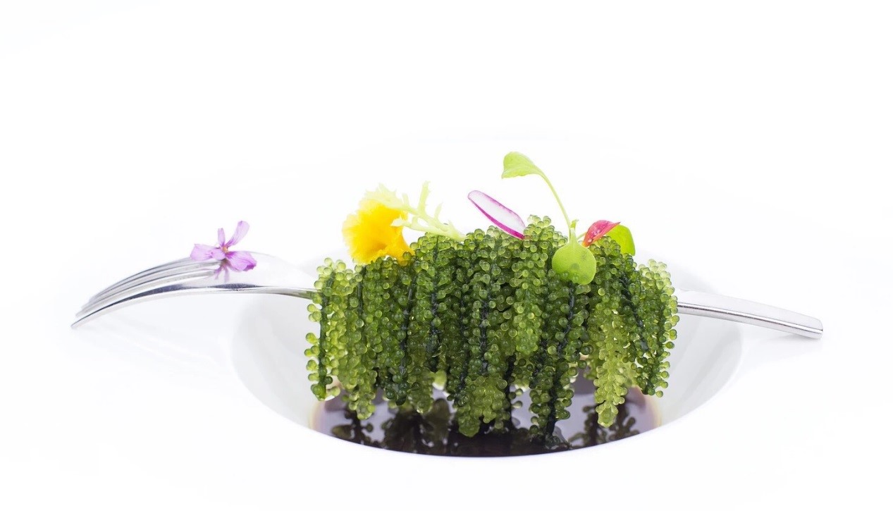 早春轻食,2023早春爱马仕