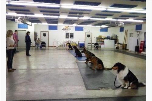 关于德国,那些你不知道的冷知识(德国人有趣的一面)