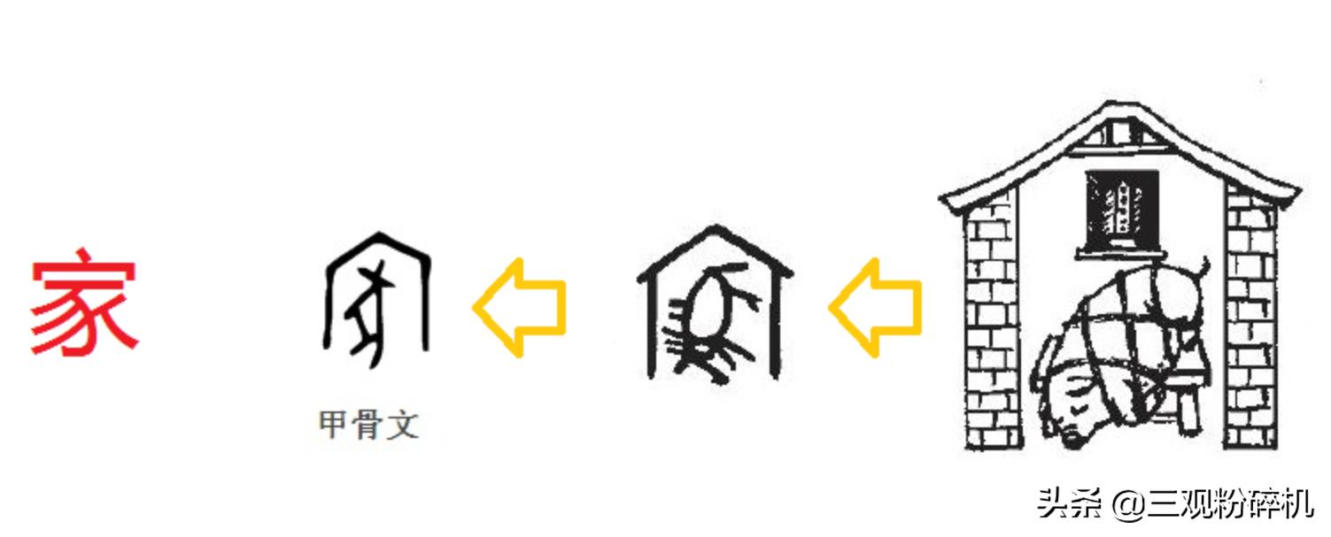 猪为什么会成为十二生肖,猪为什么排在十二生肖最后呢