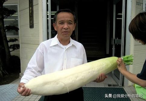 酵素行业发展前景及趋势分析,酵素产品价格现状与预测