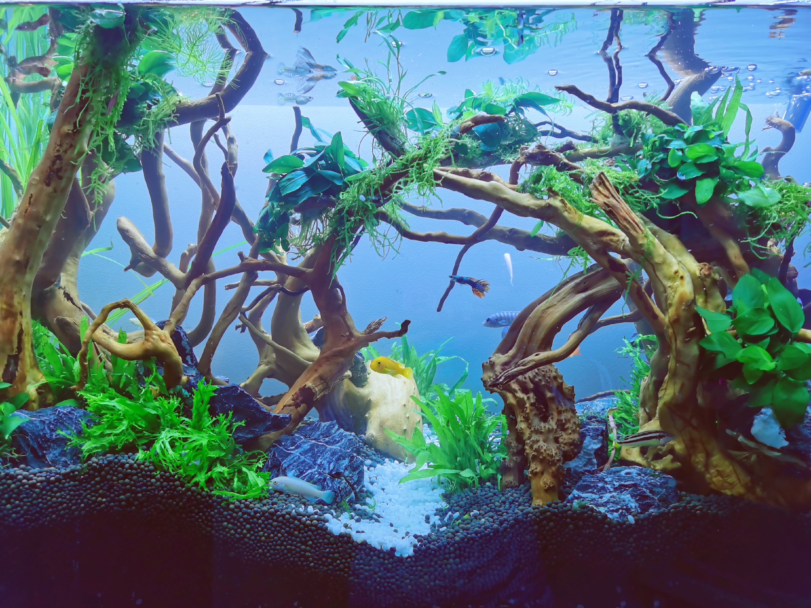 新房子软装必买清单,新家软装必买清单推荐