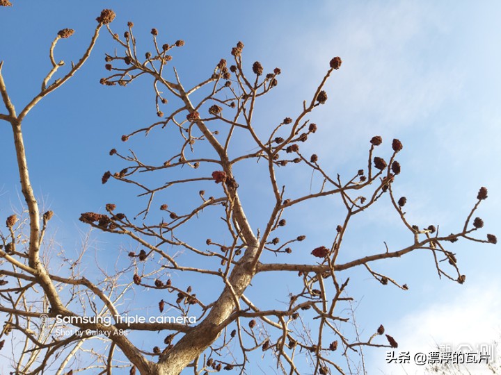 三星galaxya8s,三星galaxya8s评测