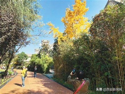 西安市高度重视生态环境,西安生态环境最新消息