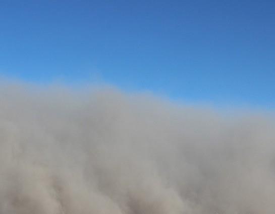 世界三大趣事,5件不可思议的奇闻趣事