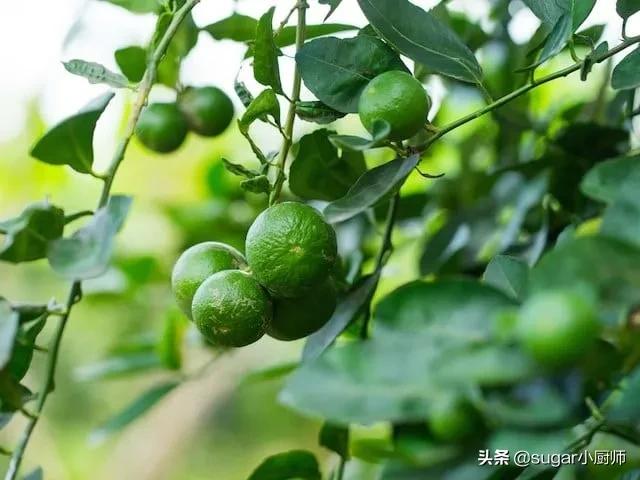 我懒！拒绝太复杂的，这个蛋糕好，哈哈，今晚就翻她牌子了