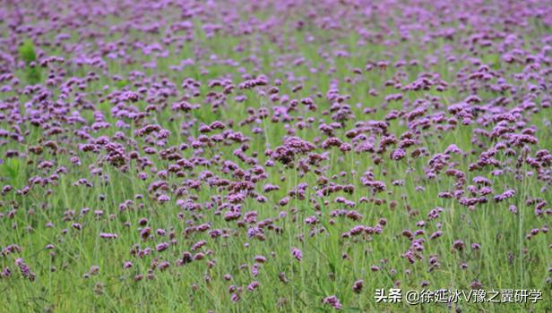 郑州五一近郊游的好地方,不出郑州就能游玩的地方