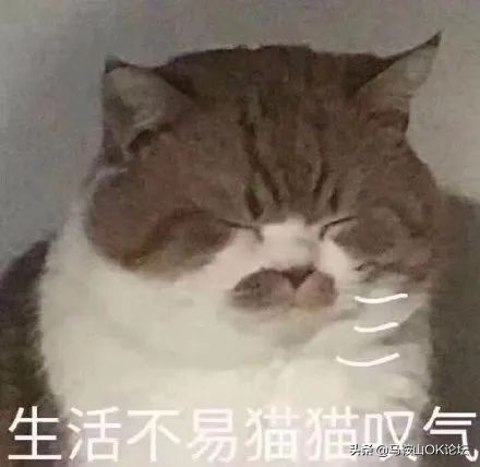 等疫情过了我要找对象了,疫情过后找对象好找吗