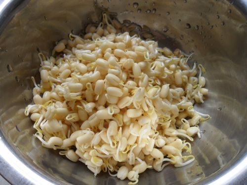 吃豆芽去豆痘,吃豆芽时怎样处理豆芽