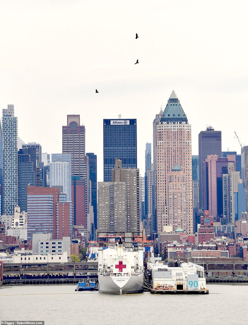 到底有多少真相被隐瞒?美军医疗船迎来意外之客,原因让人很揪心