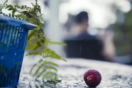 吴晓波成就经历简介,吴晓波怎么发展起来的