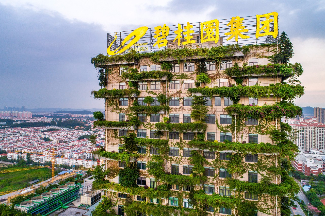 佛山是怎么成为武术之乡的？