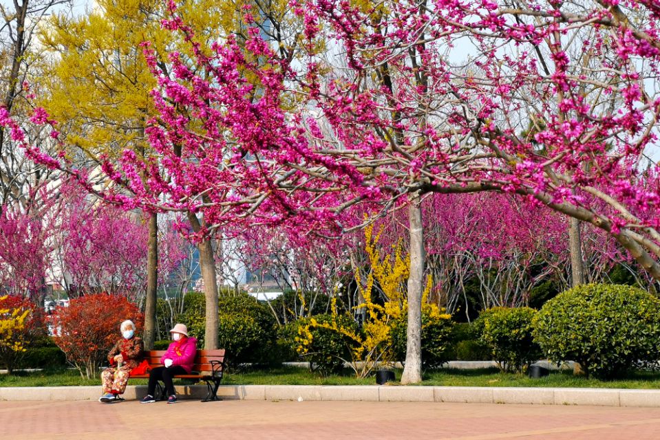 面朝大海春暖花开的背景音乐,面朝大海春暖花开歌曲