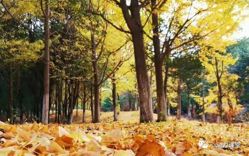 朱老师谈补习,朱老师谈教育青春期孩子