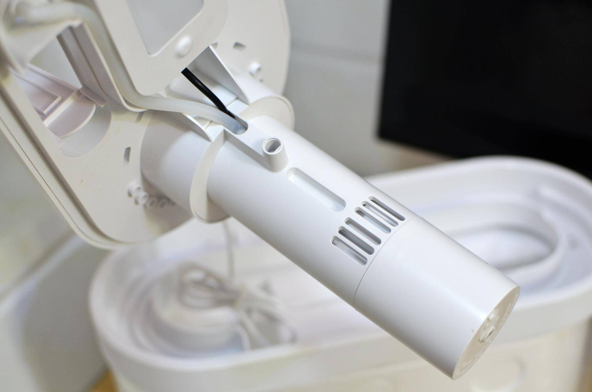 懒人鱼缸养鱼,懒人能养鱼吗