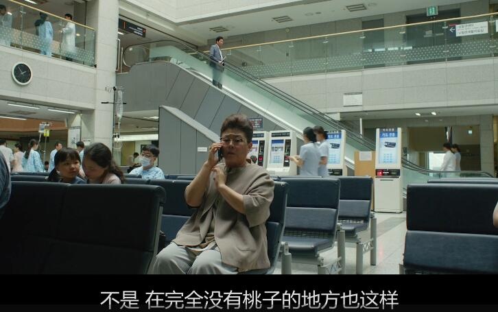 从地下室到地下室，我只是为了更好的活着——《寄生虫》