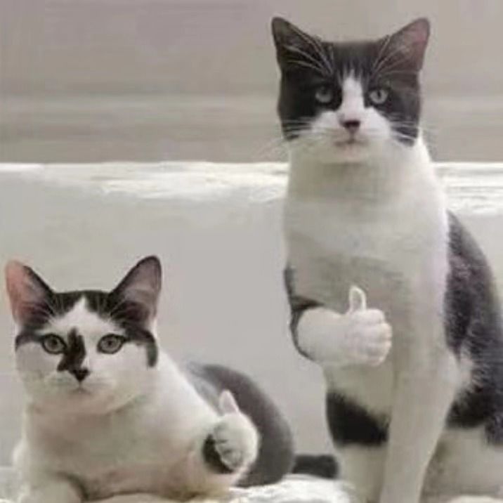 雅萌和amiro射频美容仪哪个好,雅萌美容仪和amiro美容仪哪个好用