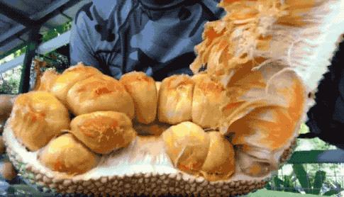 他的工作是厨师的英文,他的工作是什么英文句子