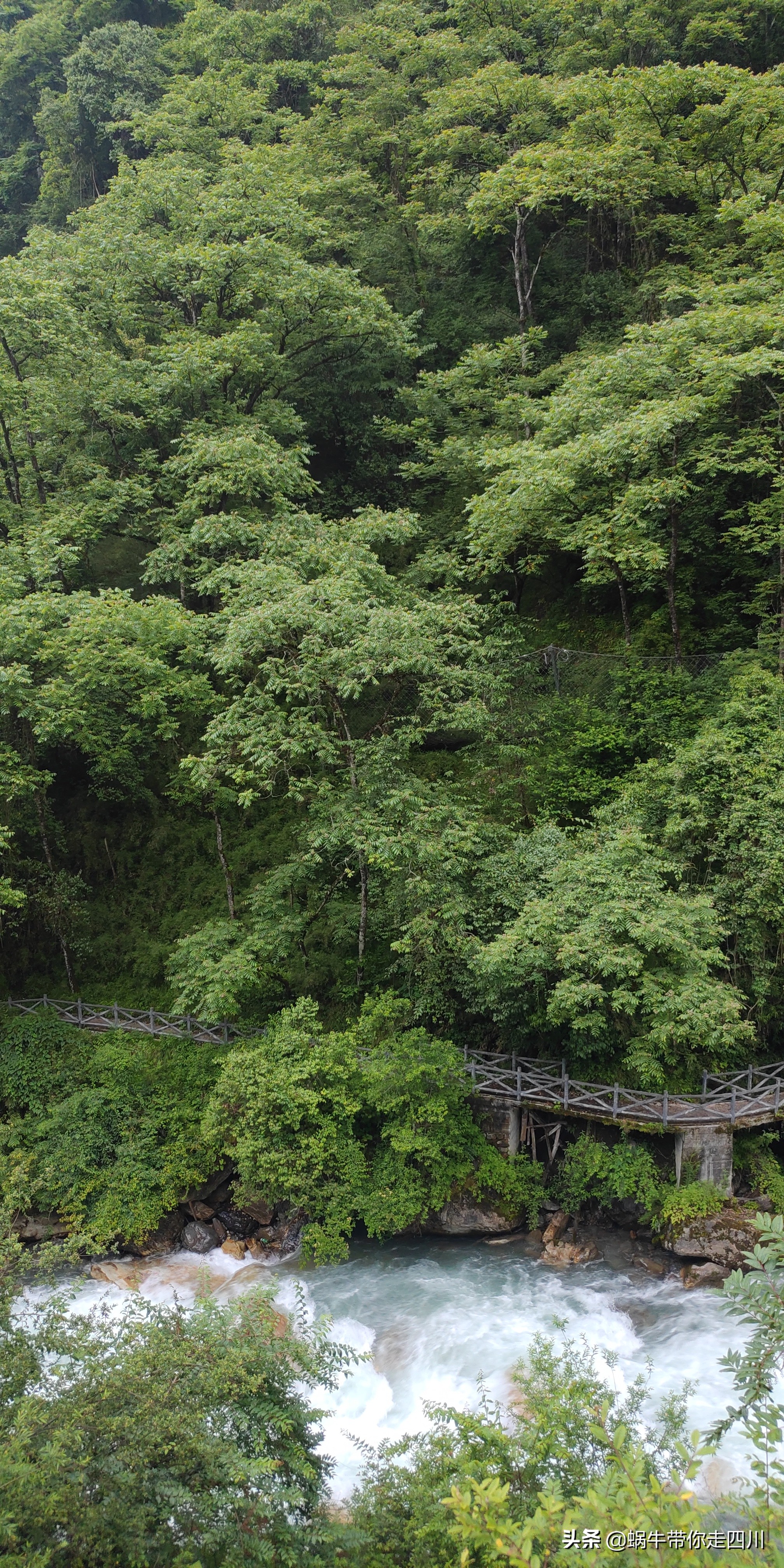 成都到西藏旅游一家三口,成都出发三天两夜旅行套票