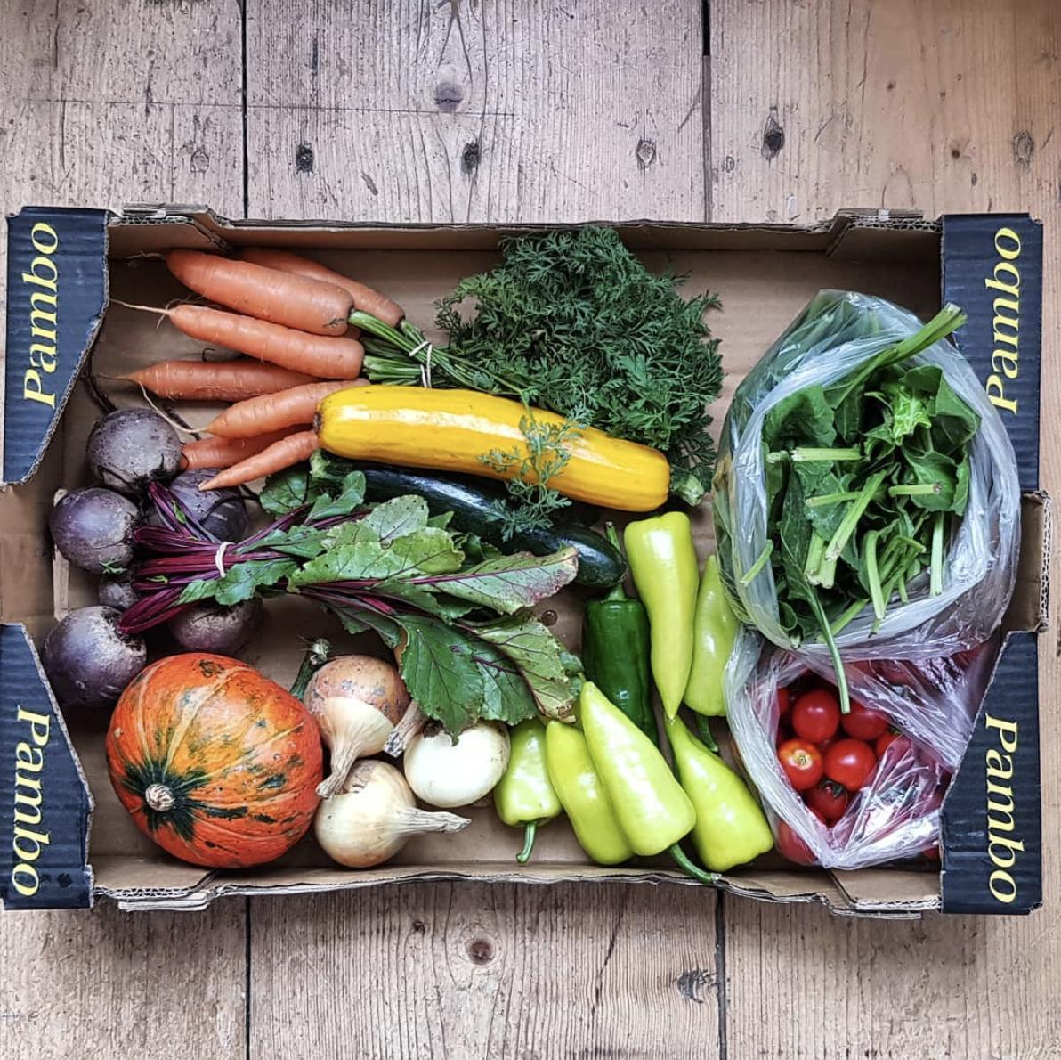 我在捷克的那些年，一位旅居捷克的国人的生活日记