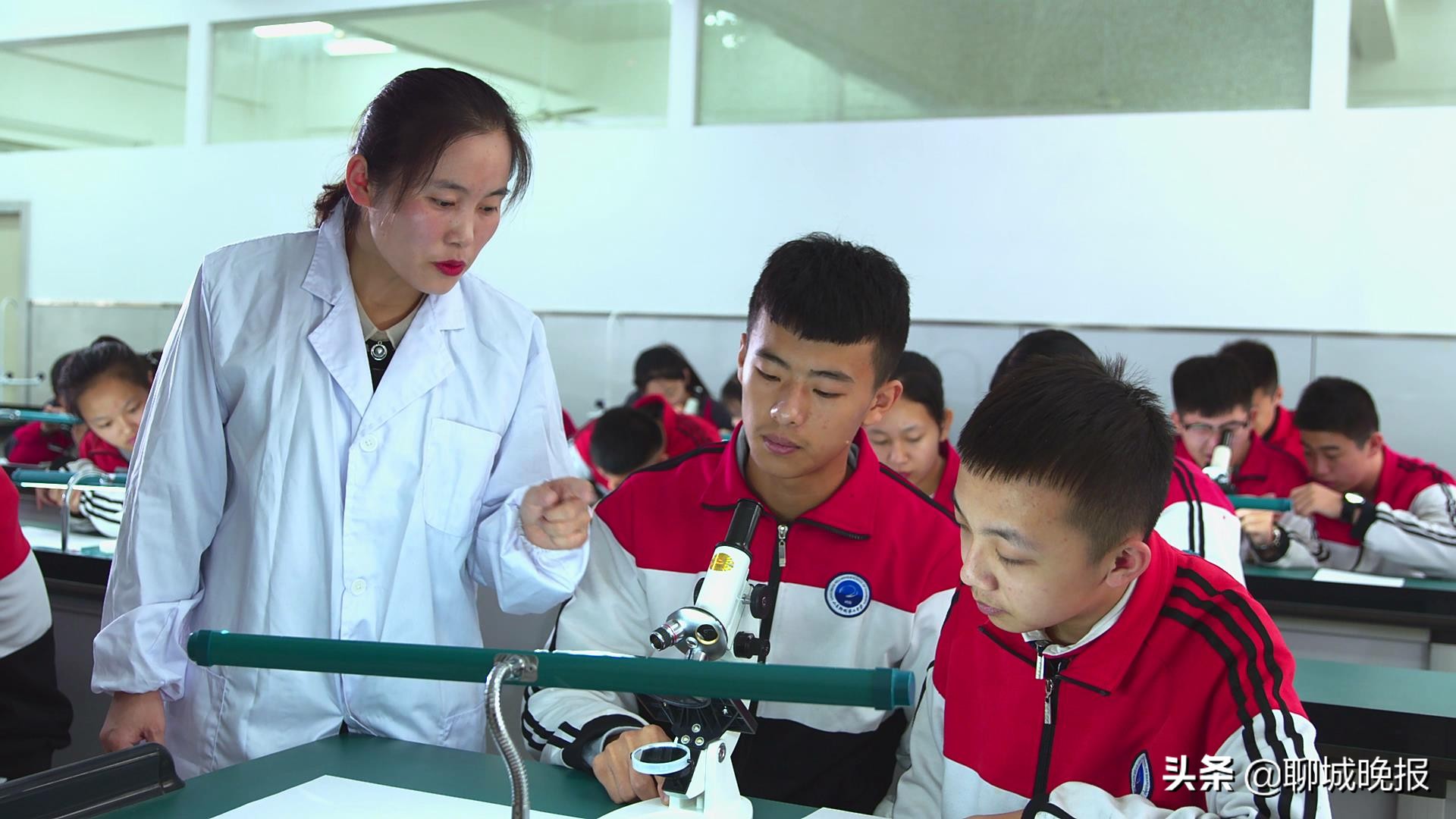 聊城一本上线率高的高中排名,聊城高中在山东排名第几