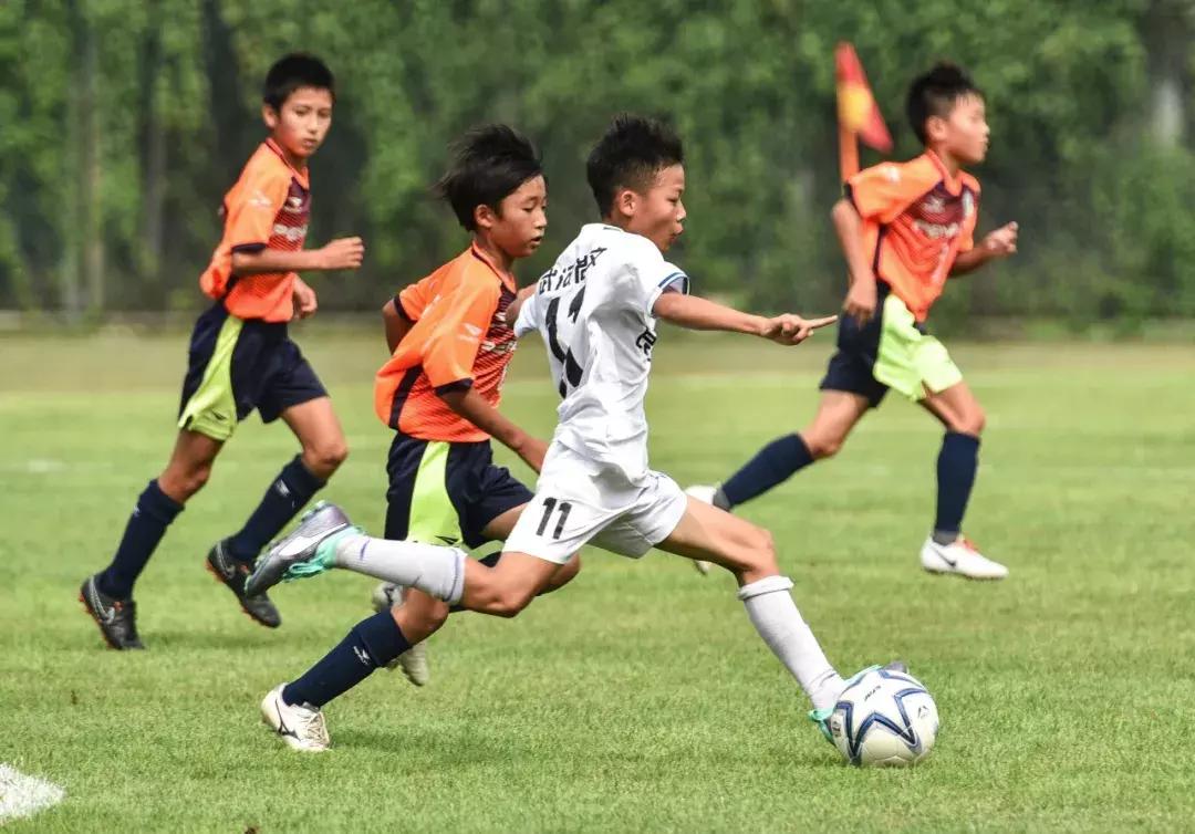 陕西足球最新动态,2019陕西足球总决赛