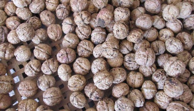 舌尖上的中国云南美食佤族,舌尖上的中国山西特产