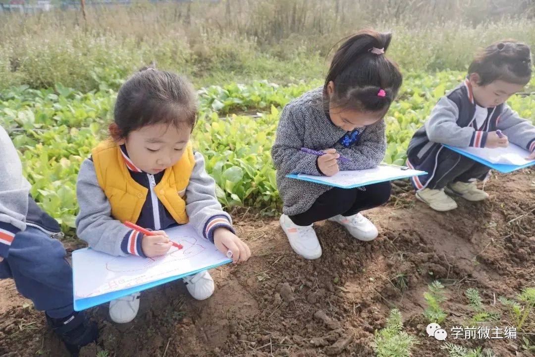 河南建业小哈佛国际幼儿园,河南比较好的幼儿园