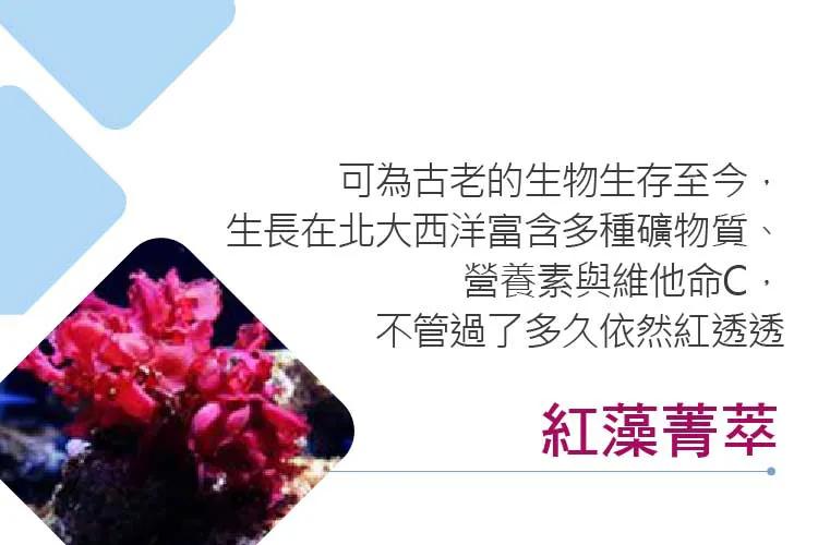 台湾之光最新消息,台湾之光保健