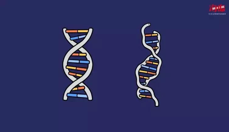 如何制作漫画科普类的图片,制作科普漫画用什么软件