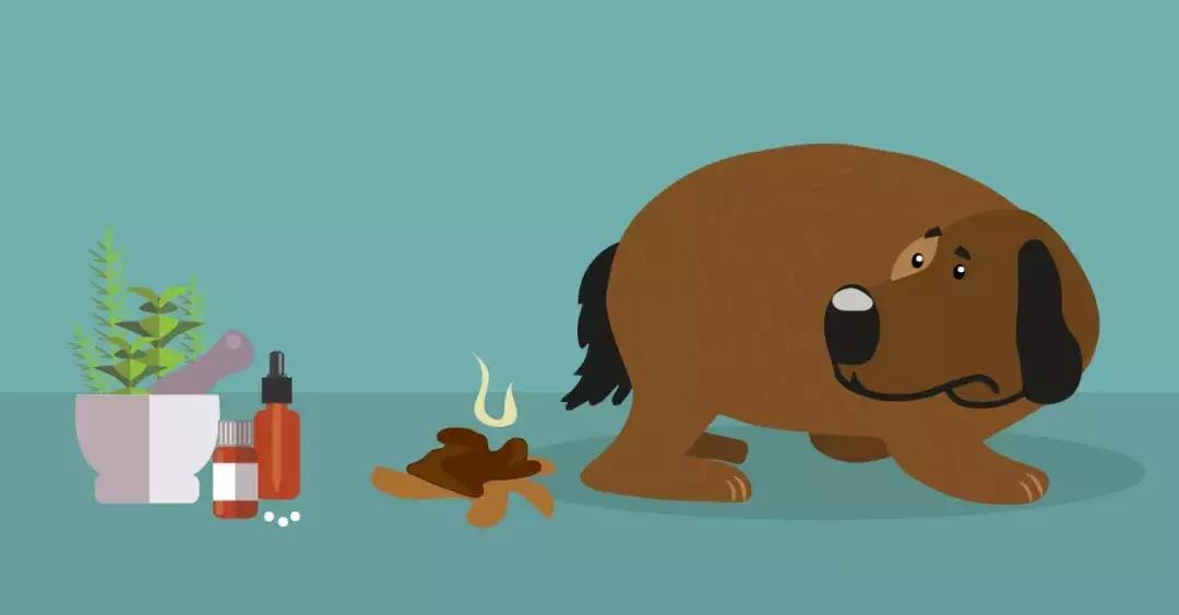 屁股像便秘一样疼的原因,拉稀为什么屁股裂口