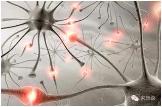 维生素d促进卵泡发育吗,生长发育期缺乏维生素d的影响