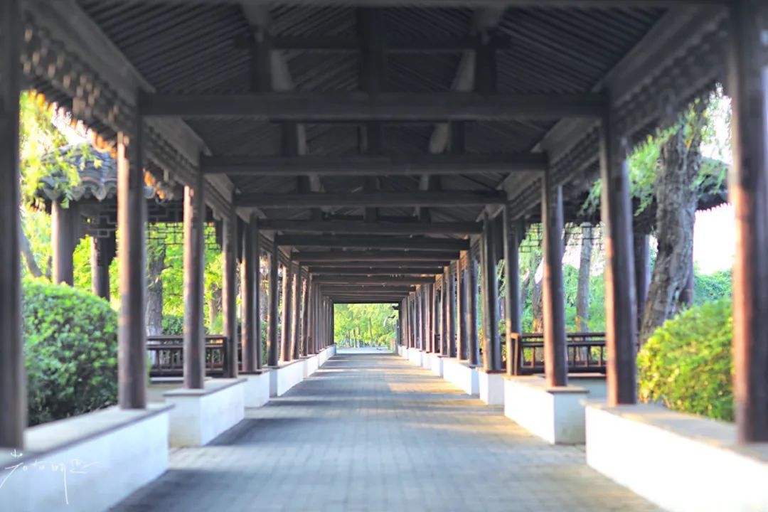 娌欏娴滈鏅尯鑺辨捣,娌欏娴滅殑绱壊鑺辨捣