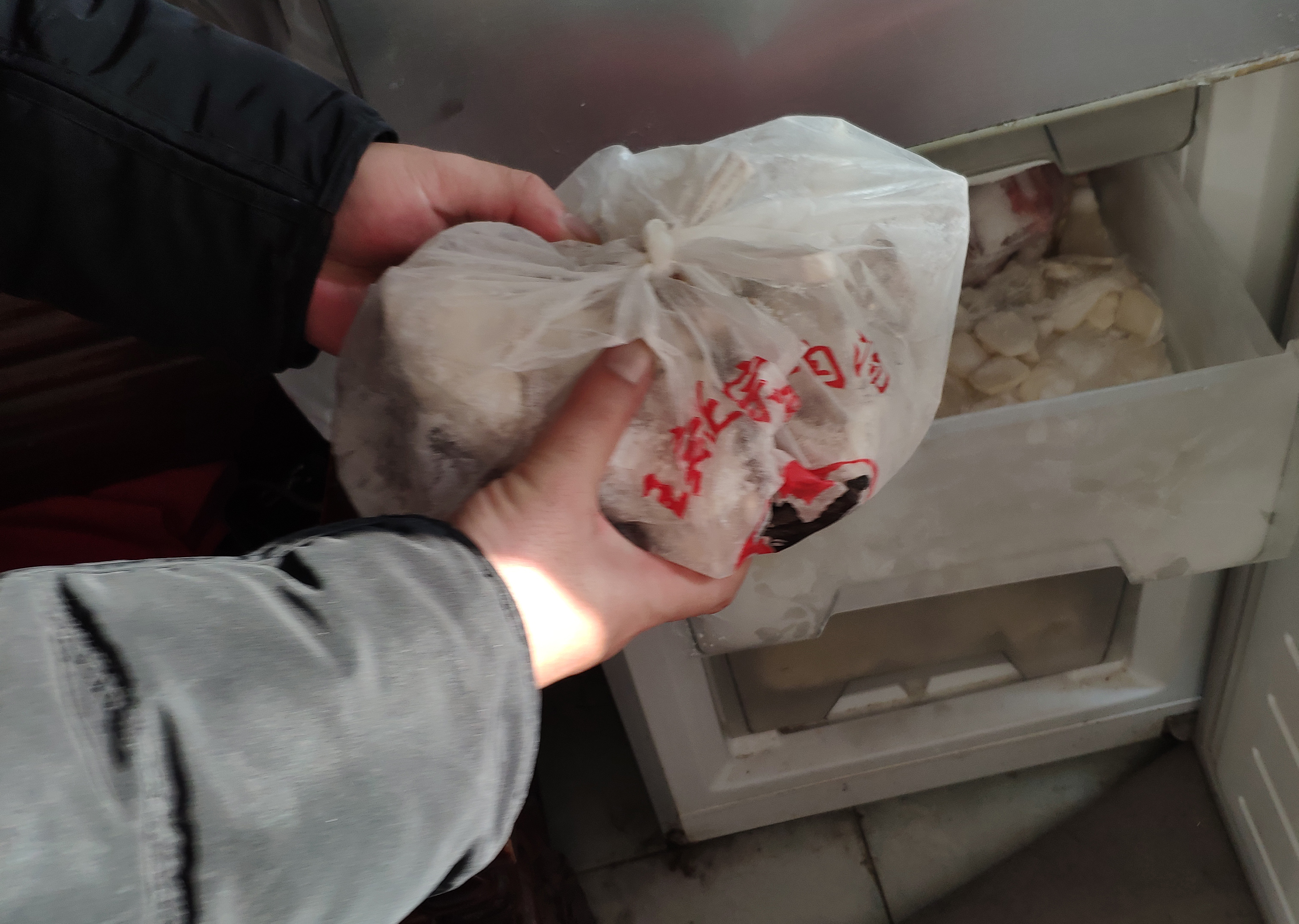 全国只有300多导盲犬,1700万盲人仅有200多只导盲犬