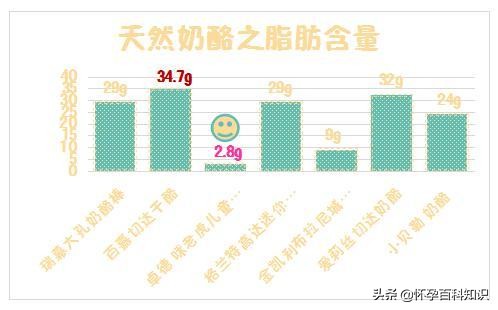 推荐20个月宝宝奶酪,宝宝奶酪推荐视频