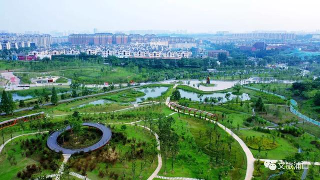 江北这条大道，被美到了！