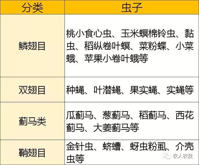 菊酯类可以和什么杀菌剂混用,甲维盐氯氰菊酯能杀红蜘蛛么