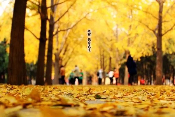 去北京不可错过的地方,不去热门景点游北京