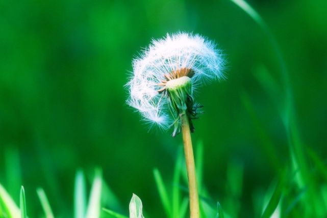 套路最多最难被人算计的三大星座,最狡猾城府深不可测的三大星座